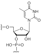 Unit Structure: 5-Methyl-uridine